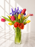 Spring radiance